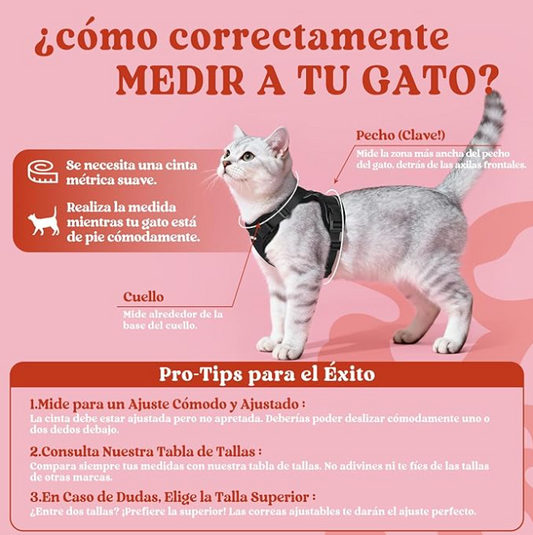 Arnés con Correa para Gatos