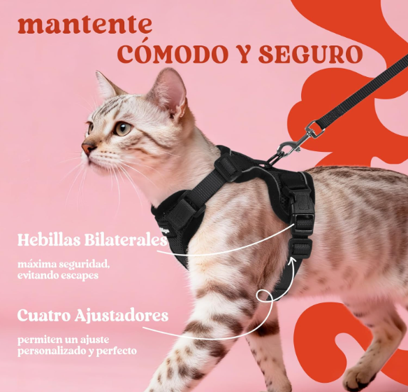Arnés con Correa para Gatos