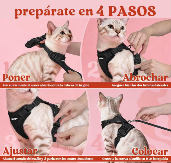 Arnés con Correa para Gatos