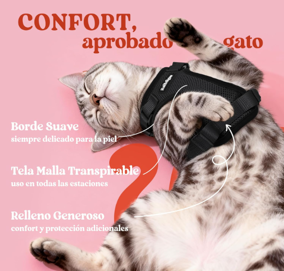 Arnés con Correa para Gatos