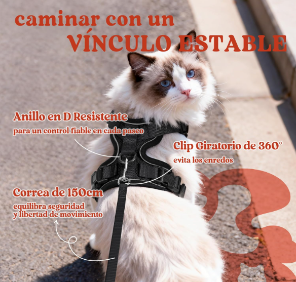 Arnés con Correa para Gatos