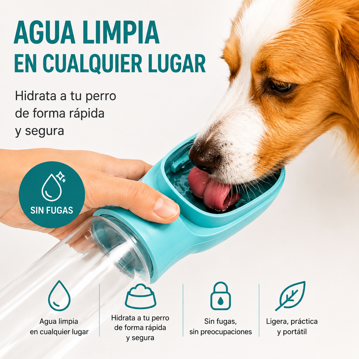 Comedero y Bebedero Portátil Perro 2 en 1